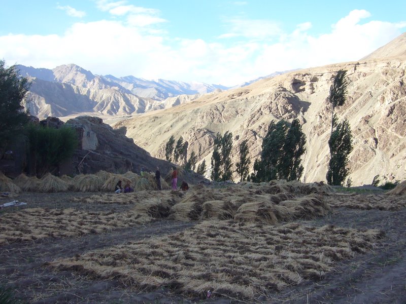 Travel - India - Ladakh - Trip to Alchi - Alchi